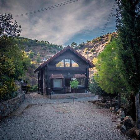 *2 Bdr Log House /Mountains/Queen Bed/Fireplace Gourri Luaran gambar