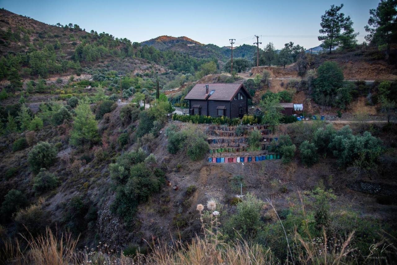 *2 Bdr Log House /Mountains/Queen Bed/Fireplace Gourri Luaran gambar
