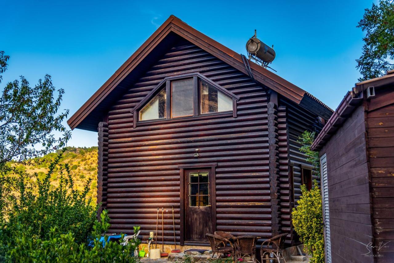 *2 Bdr Log House /Mountains/Queen Bed/Fireplace Gourri Luaran gambar