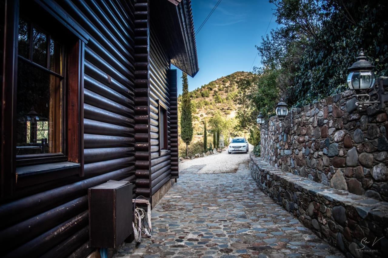 *2 Bdr Log House /Mountains/Queen Bed/Fireplace Gourri Luaran gambar