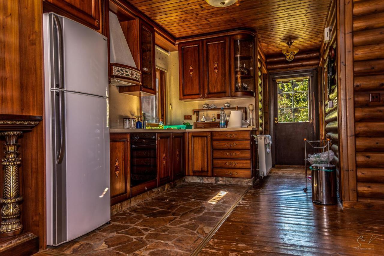 *2 Bdr Log House /Mountains/Queen Bed/Fireplace Gourri Luaran gambar