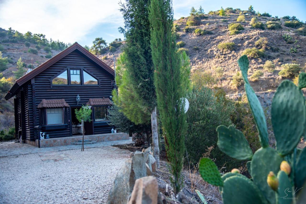 *2 Bdr Log House /Mountains/Queen Bed/Fireplace Gourri Luaran gambar