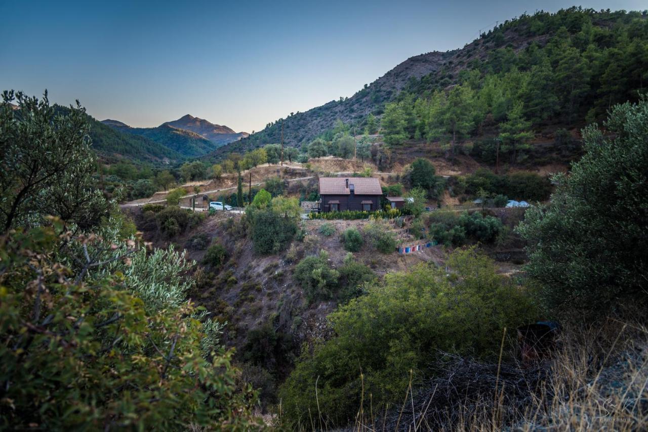 *2 Bdr Log House /Mountains/Queen Bed/Fireplace Gourri Luaran gambar